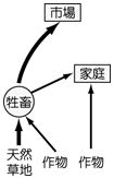 607e72ad32781.jpg