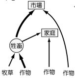 607e730757bc0.jpg