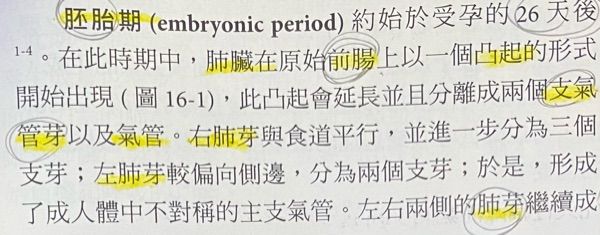 104 年 104年第一次專門職業及技術人員高等牙醫師藥師分階段 藥師 醫事檢驗師 醫事放射師 助產師 物理治療師 職能治療師 呼吸治療師 獸醫師考專技高考 呼吸治療師 36429 阿摩線上測驗