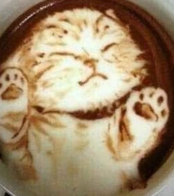 猴猴