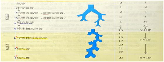 6080d1045ee0a.jpg