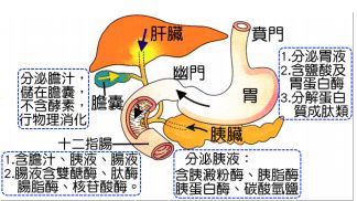 60afabaf2250e.jpg#s-324,182