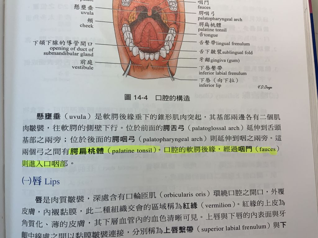 60bba6f960226.jpg