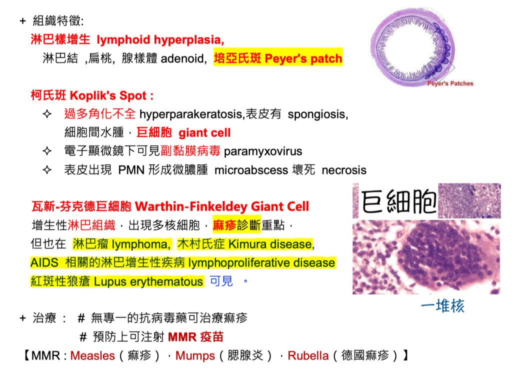 阿珍下載並安裝一套外掛程式 此時防毒晚體發出偵測到病毒的訊息 阿摩線上測驗