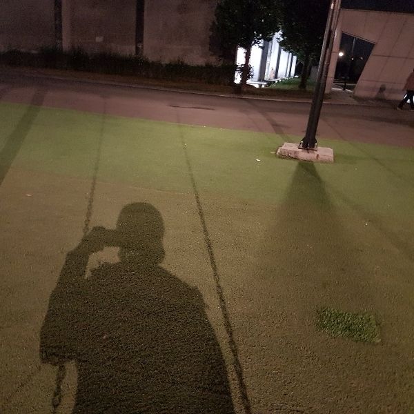 劉姝榆