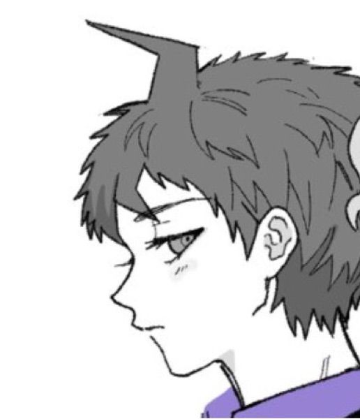 Aster