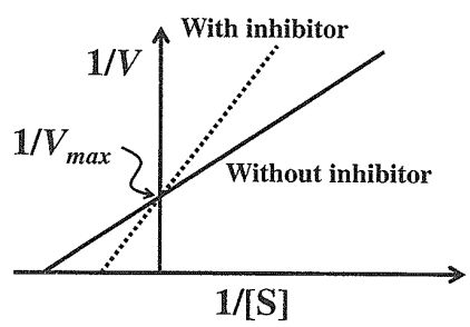 6167a099eab6d.jpg