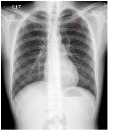 lwte533aoGrBa4WeOYWuAD+zA18nf5qgasFrhZ4rhb4H84Vtz2l64KtAAAAAElFTkSuQmCC