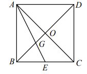 62314698e523e.jpg