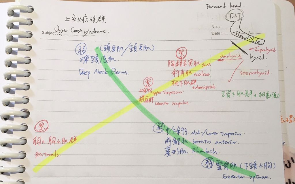 6258cb003eace.jpg#s-1024,638