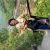 grace09.lin