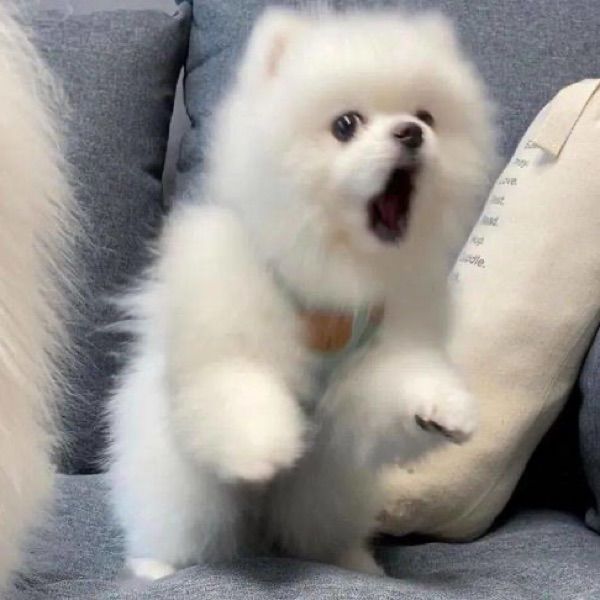 我要上松山高中‼️