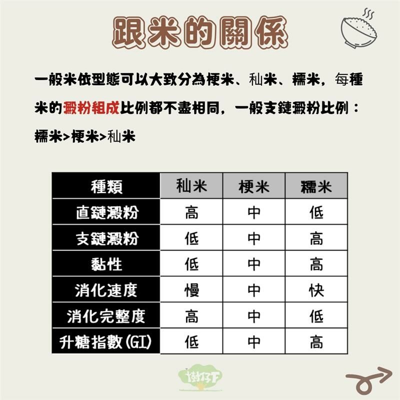 樹仔下【樹仔下食農教室】直鏈澱粉？支鏈澱粉？