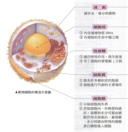 637e8d6e35319.jpg