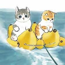 宅貓