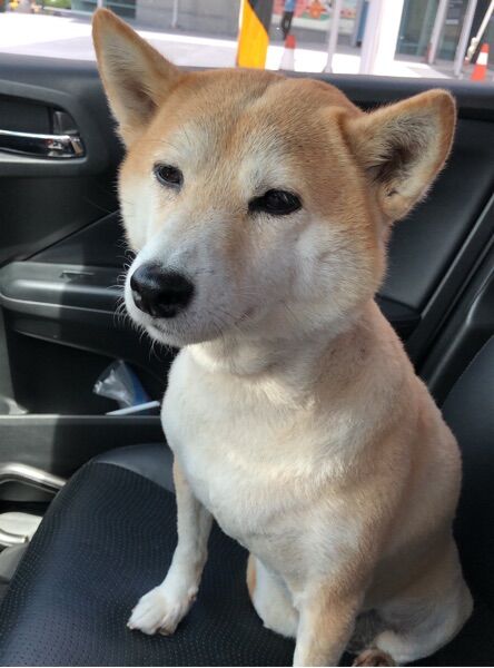 路嘎明
