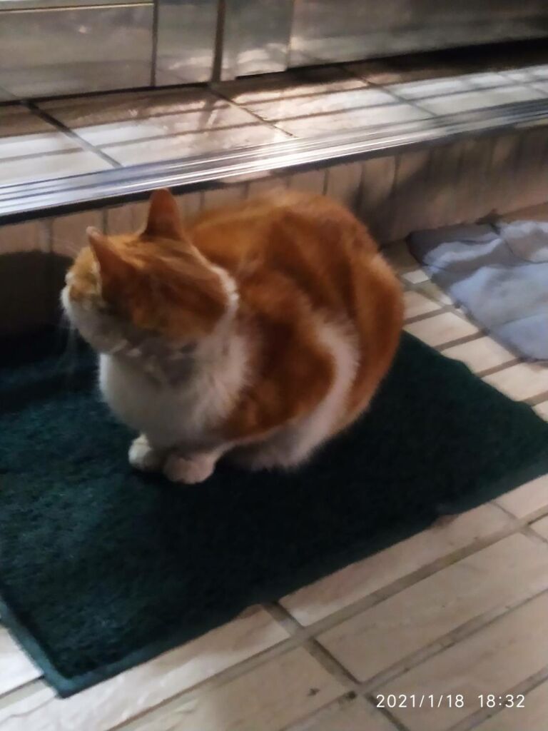 小文