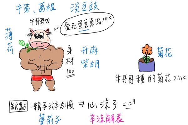 63fb898dd97ef.jpg#s-600,400