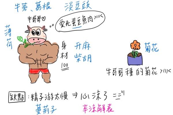 63fb8f514e984.jpg#s-600,400