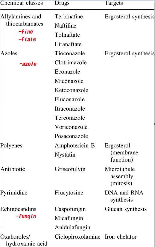 6400dfe67f6a0.jpg#s-518,822