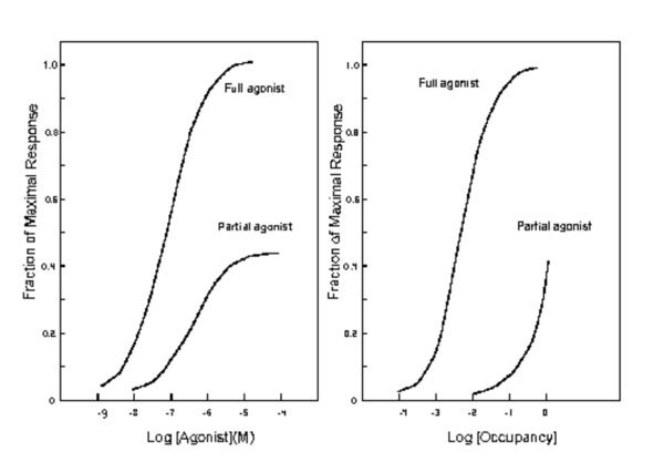 6426fa37c4db4.jpg#s-600,417