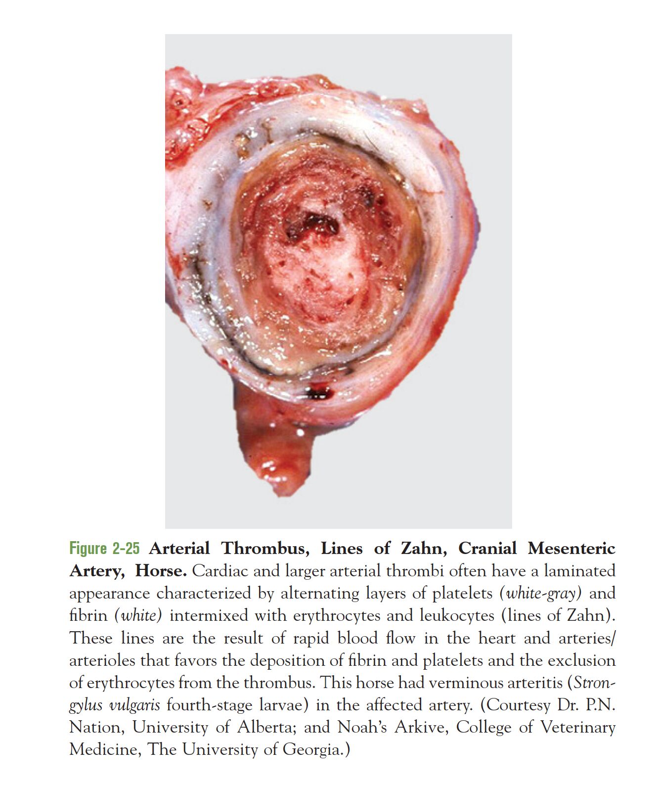 6437efaa1724a.jpg#s-1323,1593