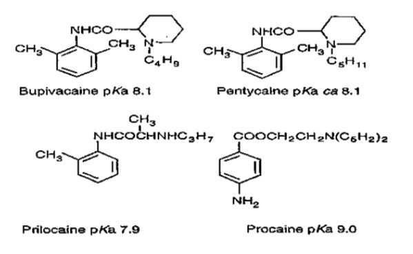 64a07ffdbf95f.jpg#s-599,369