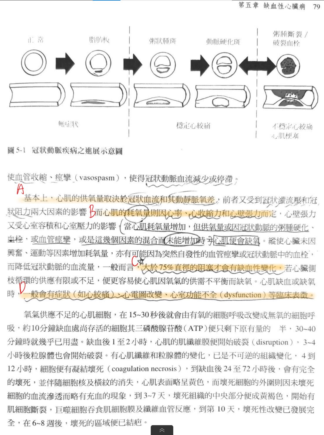64a9247b1adea.jpg