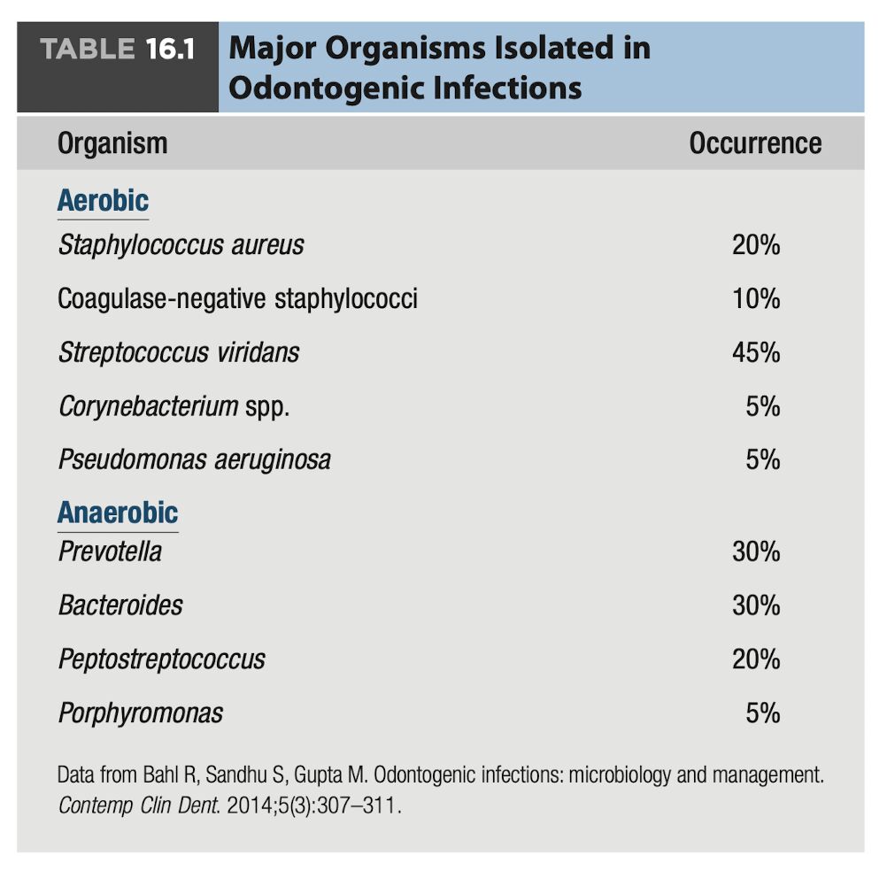 64b2307f6dd8b.jpg#s-1002,984