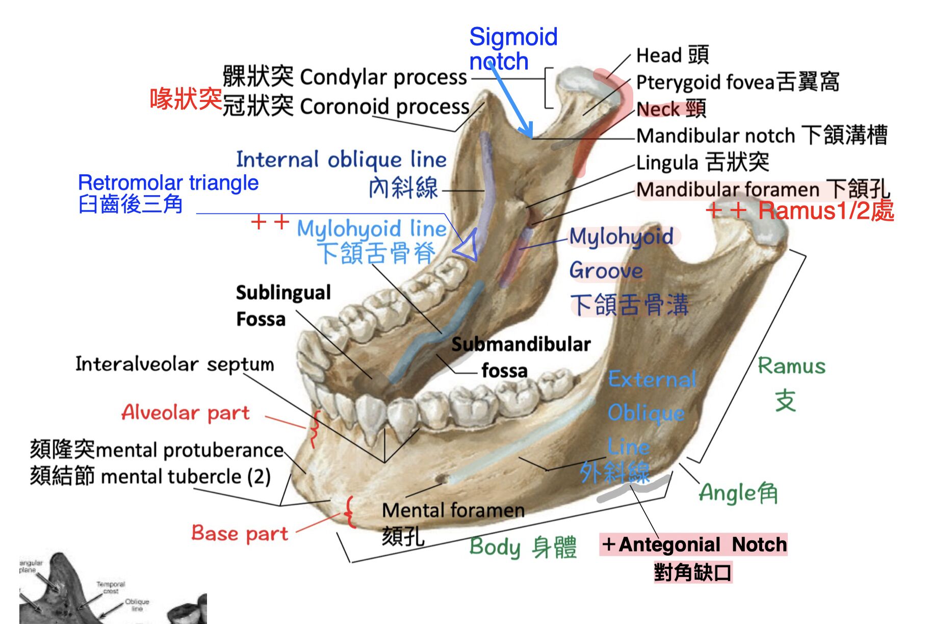 64c36782a478e.jpg#s-1824,1224