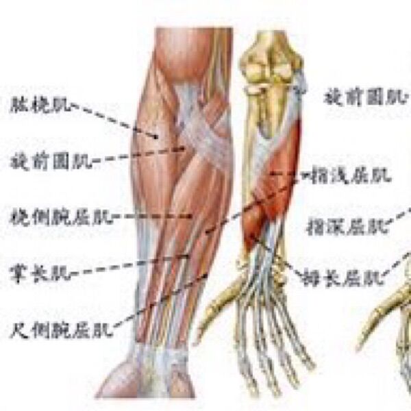 64c484aceefcc.jpg#s-600,600