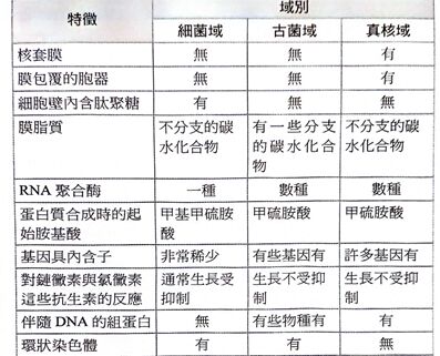 65368a019d04d.jpg#s-397,321