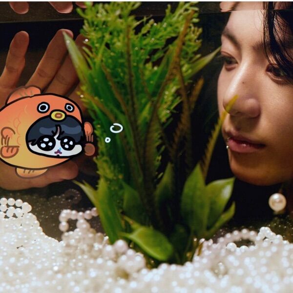 田柾國沒有尾巴