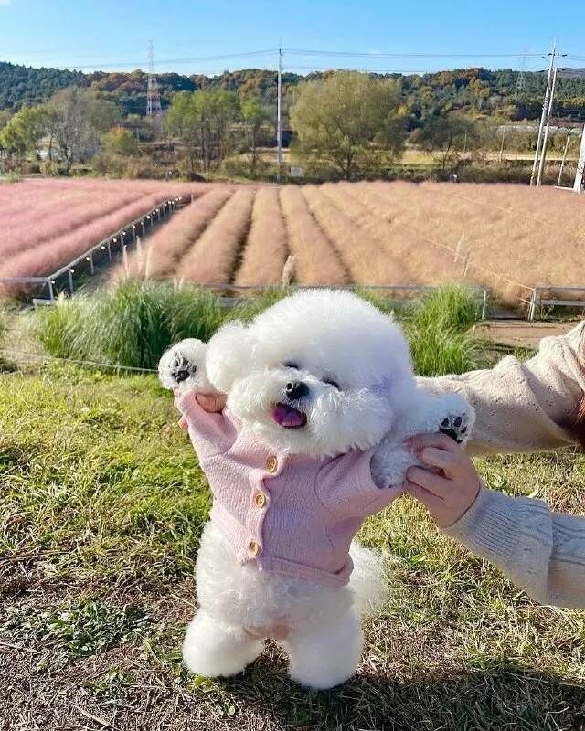 好運
