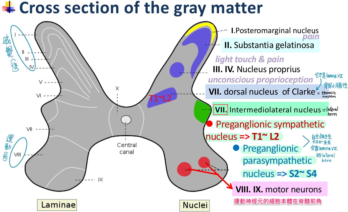 65afc48c863b6.jpg#s-1474,896