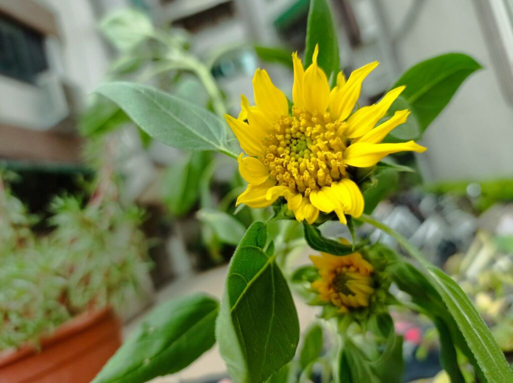 1/23執登考試成功考取