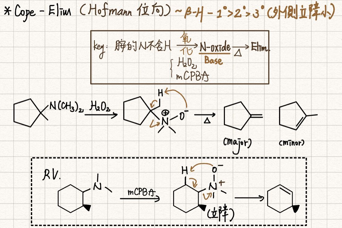 661e9b3a032f7.jpg#s-1106,737