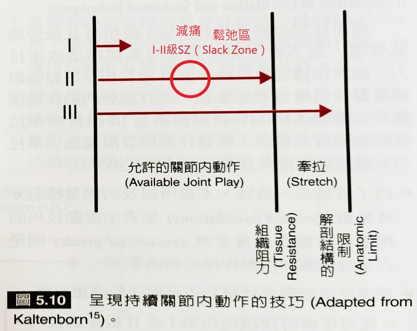 661edee403491.jpg#s-1435,1140