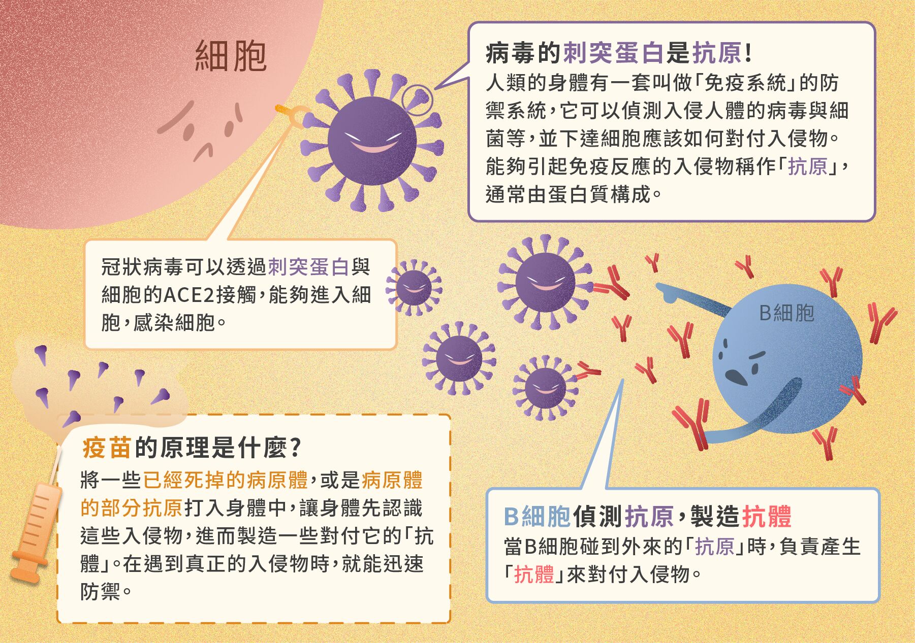 6651996b974c2.jpg#s-1801,1267