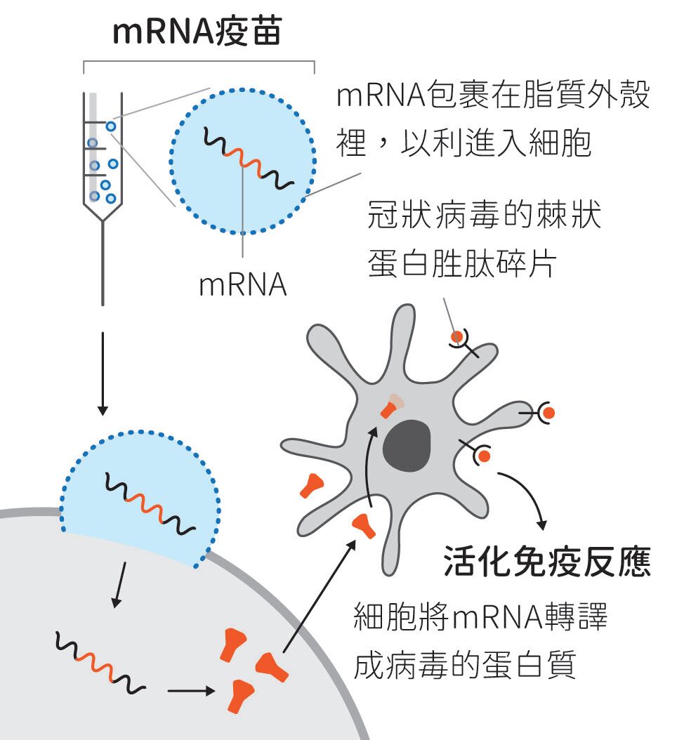 665199c370e38.jpg#s-964,1054