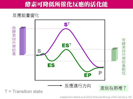 6651aedf4d8f2.jpg#s-512,384