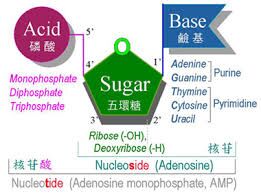 6651b642dadcf.jpg#s-261,193