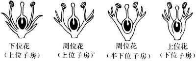 6672a716a8e23.jpg
