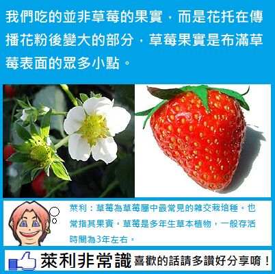 6672a7754cbd1.jpg