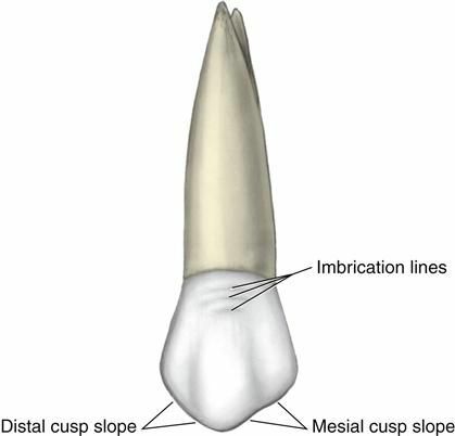 66867f9e95a47.jpg#s-419,402