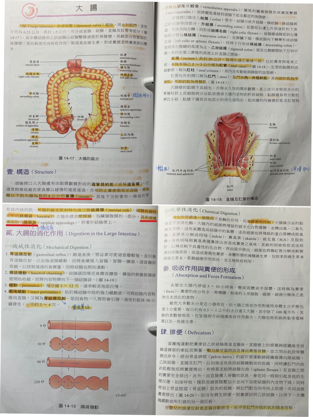 66927d1695b4a.jpg