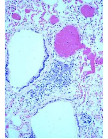 669f537bdbe25.jpg#s-370,473