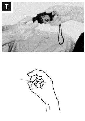 66a4b7761318d.jpg#s-289,412