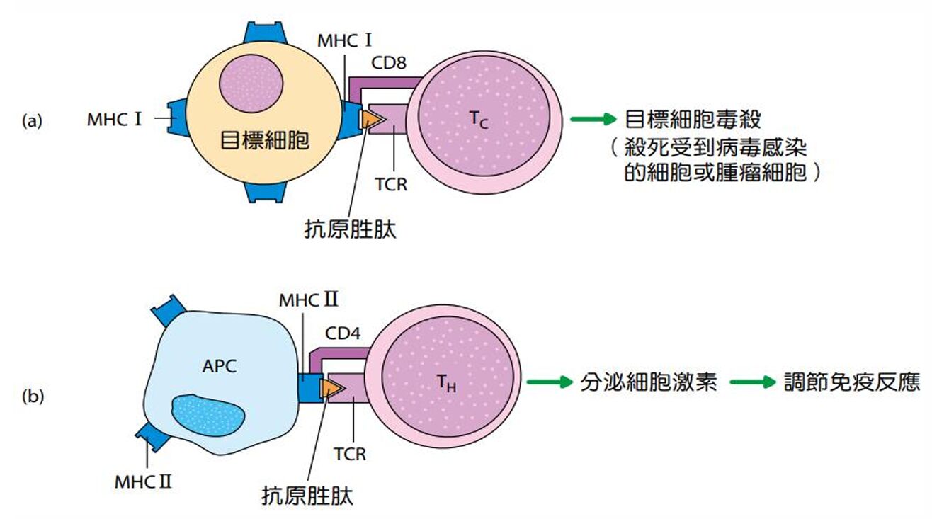 66ac53b5475dc.jpg