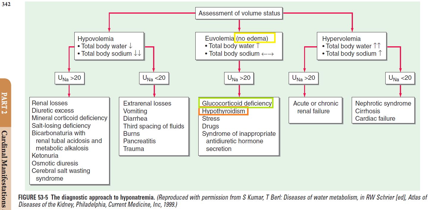 671c5efd56095.jpg#s-1443,708
